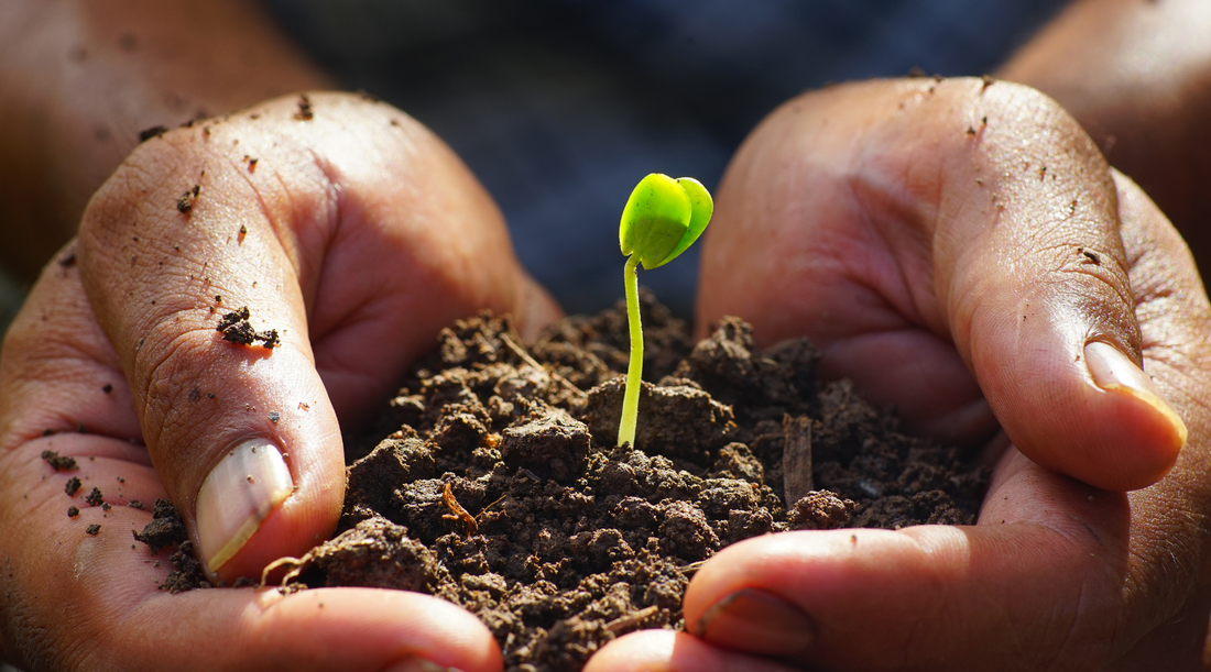 Meglepő természetes összetevők, amik valóban segítenek a térdfájdalom ellen – Az 5.-re biztos nem gondoltál