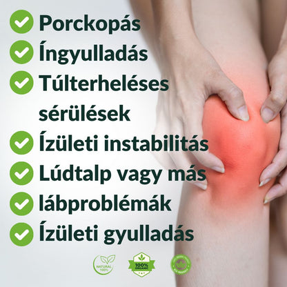 AktívTérd Tapasz - AktívTérd