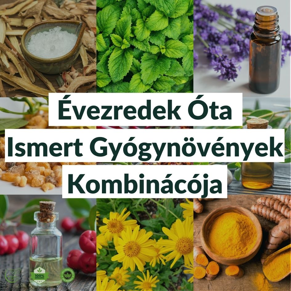 AktívTérd Tapasz - AktívTérd