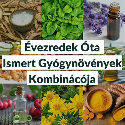 AktívTérd Tapasz - AktívTérd